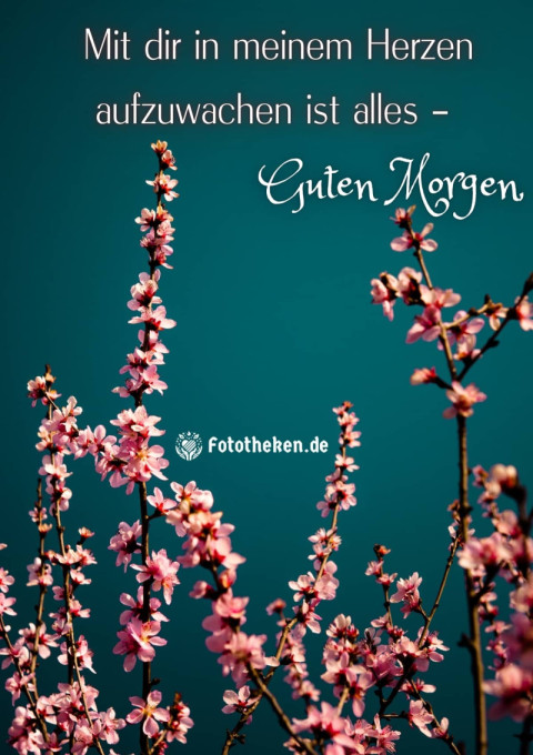 Mit dir in meinem Herzen aufzuwachen ist alles – Guten Morgen!
