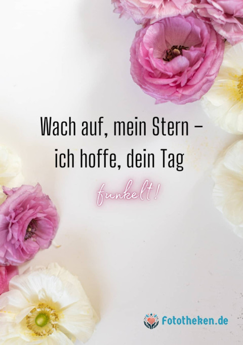 Wach auf, mein Stern – ich hoffe, dein Tag funkelt!