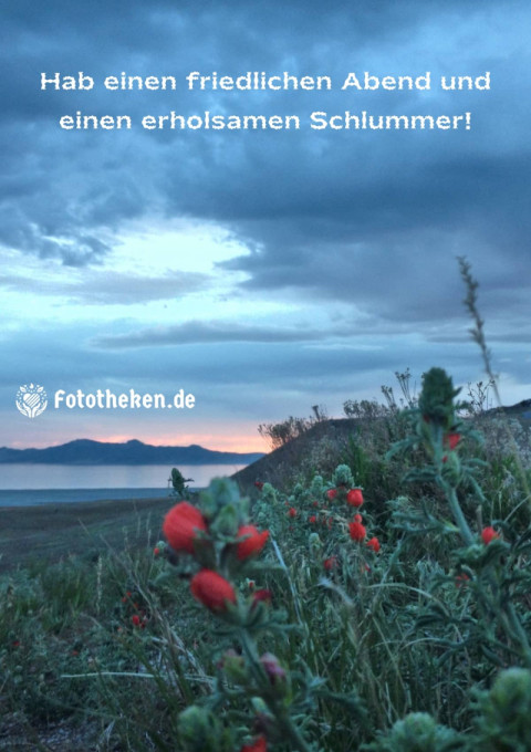 Hab einen friedlichen Abend und einen erholsamen Schlummer!