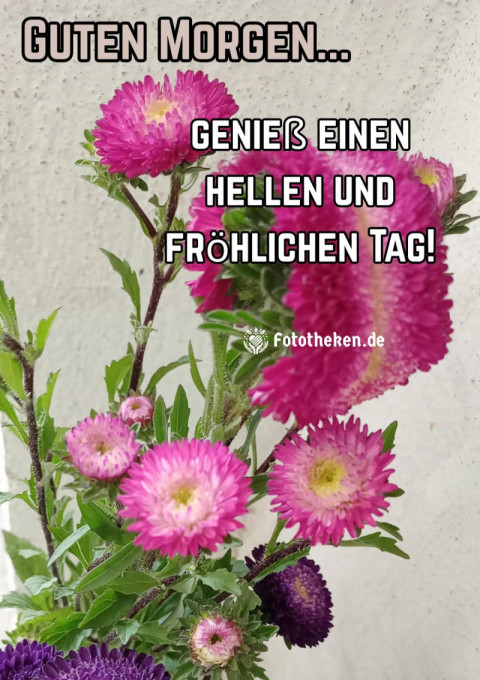 Guten Morgen, genieß einen hellen und fröhlichen Tag!