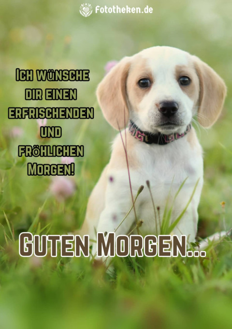 Ich wünsche dir einen erfrischenden und fröhlichen Morgen!