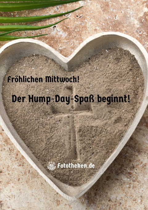 Fröhlichen Mittwoch! Der Hump Day Spaß beginnt!