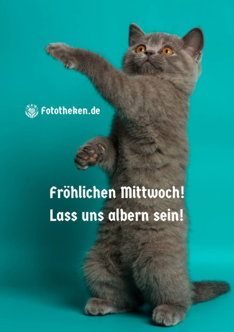 Fröhlichen Mittwoch! Lass uns albern sein!