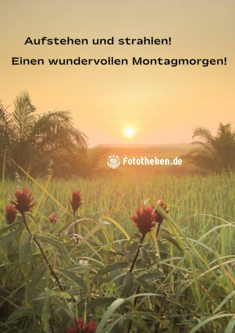 Aufstehen und strahlen! Einen wundervollen Montagmorgen!