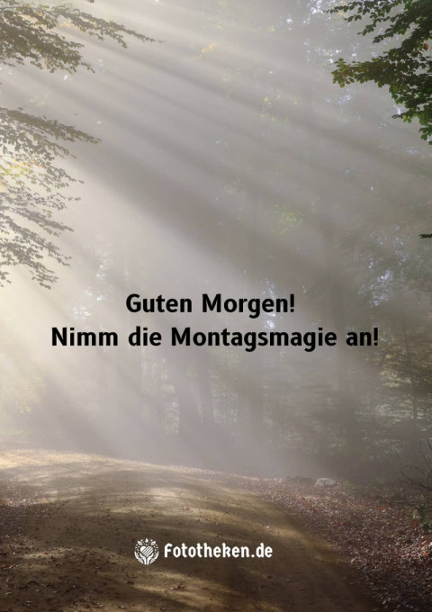 Guten Morgen! Nimm die Montagsmagie an!