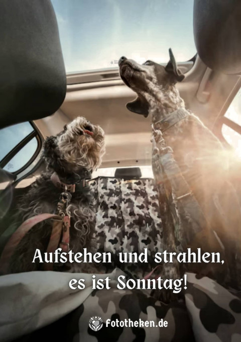 Aufstehen und strahlen, es ist Sonntag!