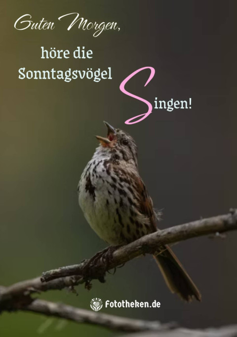 Guten Morgen, höre die Sonntagsvögel singen!