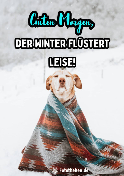 Guten Morgen, der Winter flüstert leise!