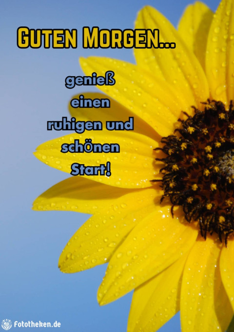 Guten Morgen, genieß einen ruhigen und schönen Start!