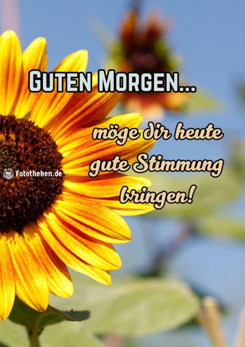 Guten Morgen, möge dir heute gute Stimmung bringen!