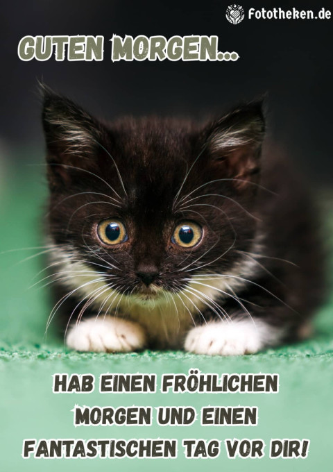 Hab einen fröhlichen Morgen und einen fantastischen Tag vor dir!