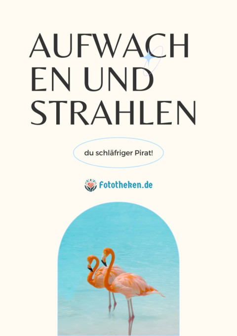 Aufwachen und strahlen, du schläfriger Pirat!