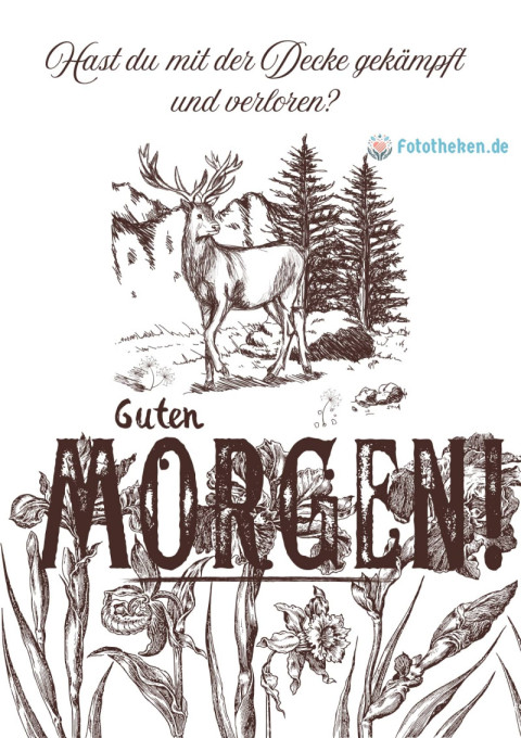 Guten Morgen! Hast du mit der Decke gekämpft und verloren