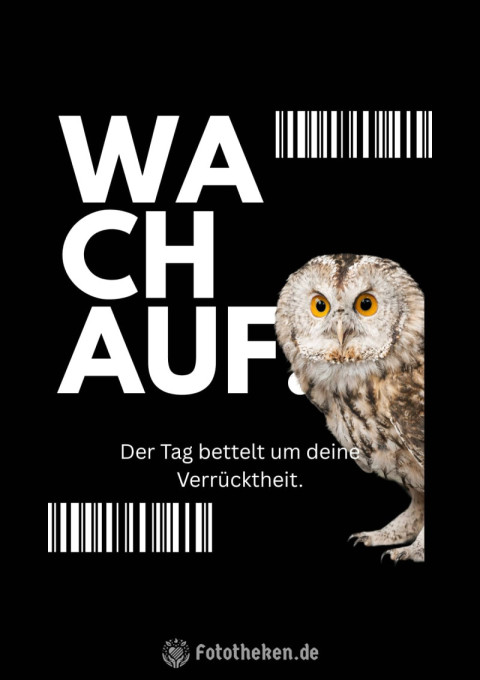 Wach auf! Der Tag bettelt um deine Verrücktheit