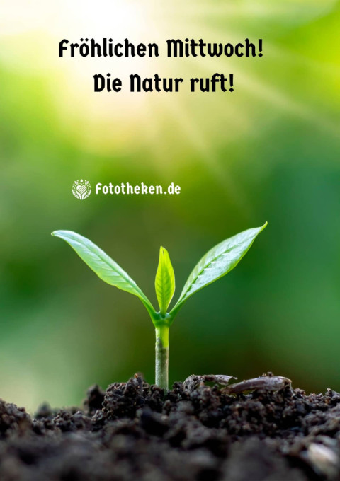Fröhlichen Mittwoch! Die Natur ruft!