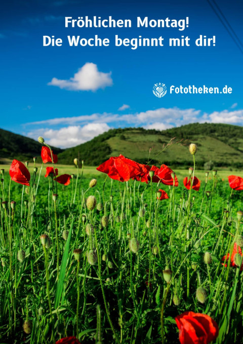 Fröhlichen Montag! Die Woche beginnt mit dir!