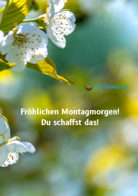 Fröhlichen Montagmorgen! Du schaffst das!