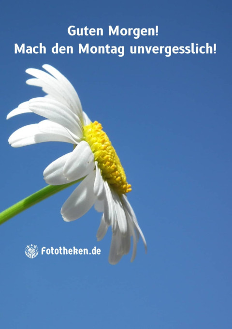 Guten Morgen! Mach den Montag unvergesslich!