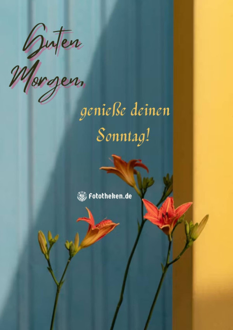 Guten Morgen, genieße deinen Sonntag!