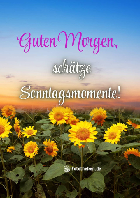 Guten Morgen, schätze Sonntagsmomente!