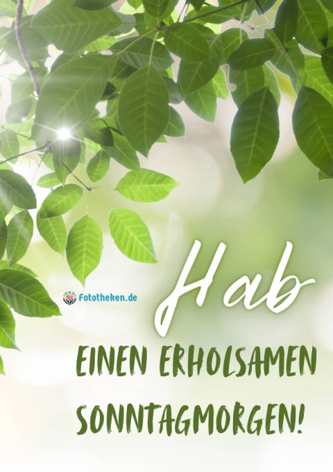 Hab einen erholsamen Sonntagmorgen!