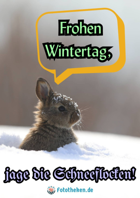 Frohen Wintertag, jage die Schneeflocken!
