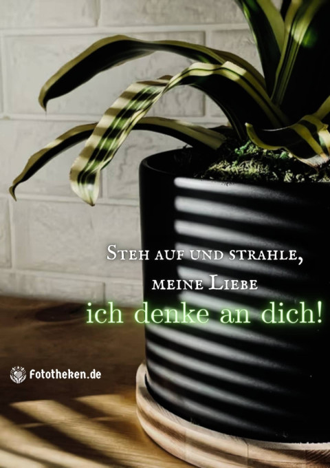 Steh auf und strahle, meine Liebe – ich denke an dich!