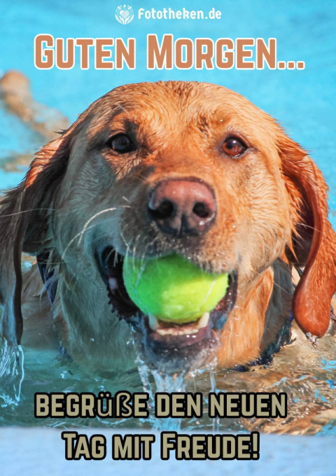 Guten Morgen, begrüße den neuen Tag mit Freude!