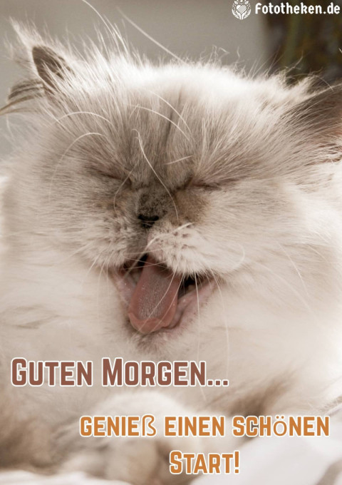 Guten Morgen, genieß einen schönen Start!