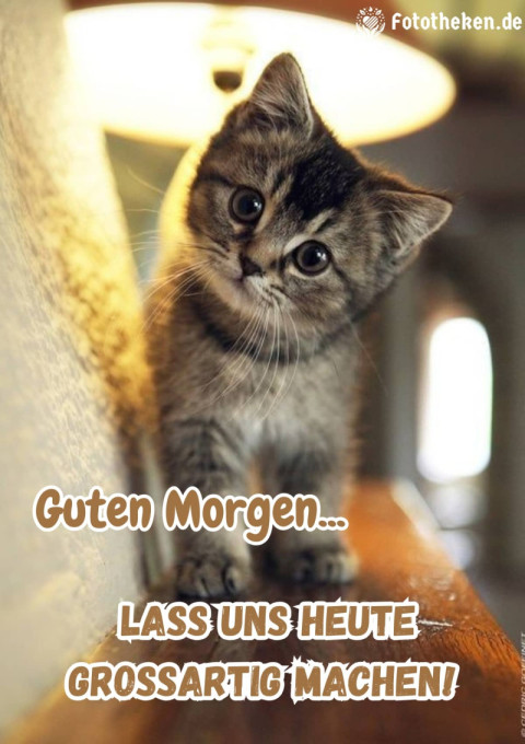 Guten Morgen, lass uns heute großartig machen!