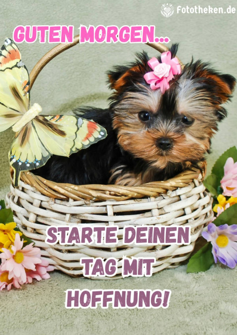 Guten Morgen, starte deinen Tag mit Hoffnung!