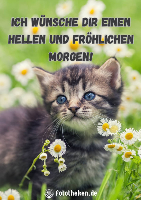Ich wünsche dir einen hellen und fröhlichen Morgen!