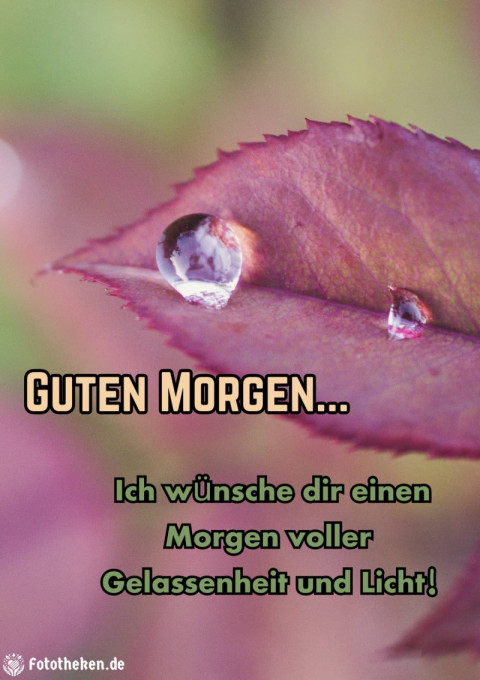 Ich wünsche dir einen Morgen voller Gelassenheit und Licht!