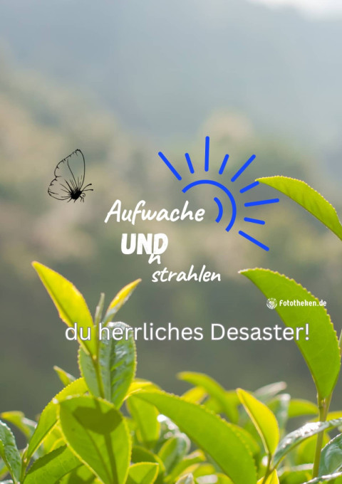 Aufwachen und strahlen, du herrliches Desaster!