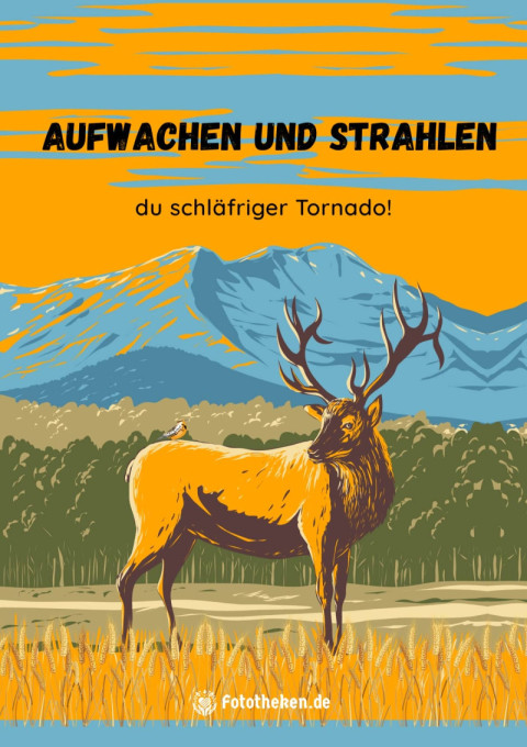 Aufwachen und strahlen, du schläfriger Tornado!