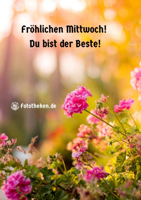 Fröhlichen Mittwoch! Du bist der Beste!