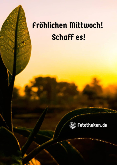 Fröhlichen Mittwoch! Schaff es!jpg