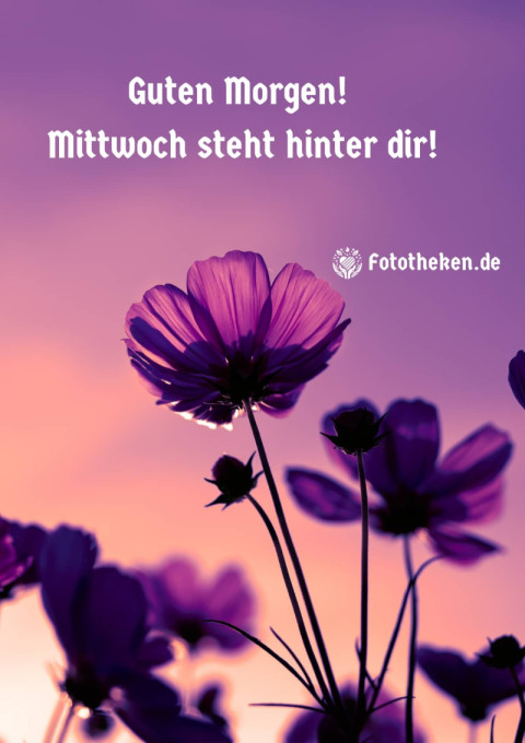 Guten Morgen! Mittwoch steht hinter dir!