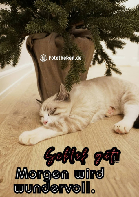 Schlaf gut! Morgen wird wundervoll