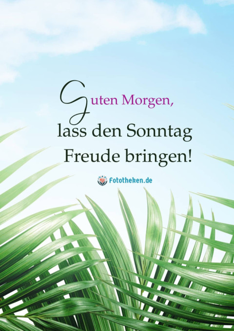 Guten Morgen, lass den Sonntag Freude bringen!