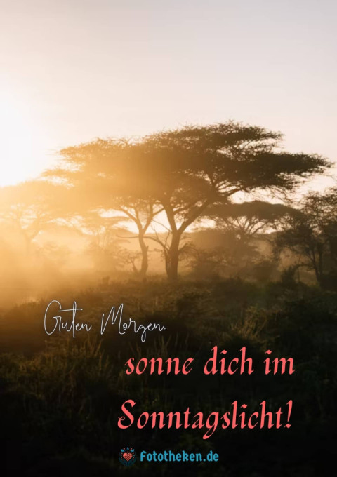 Guten Morgen, sonne dich im Sonntagslicht!