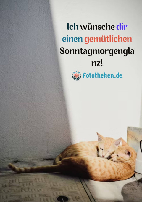 Ich wünsche dir einen gemütlichen Sonntagmorgenglanz!