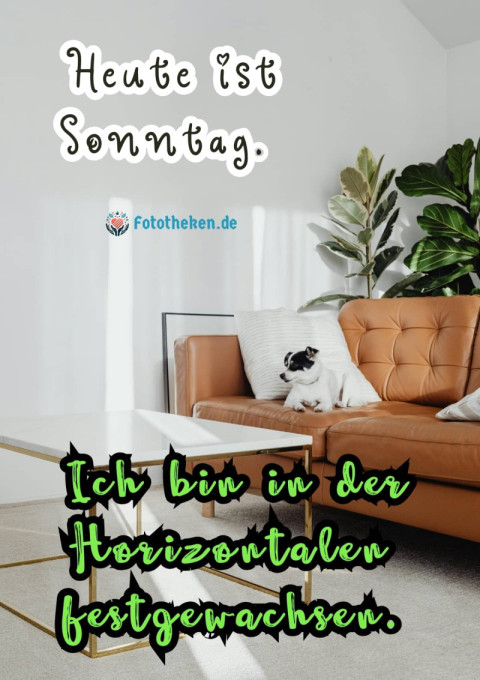 Heute ist Sonntag Ich bin in der Horizontalen festgewachsen