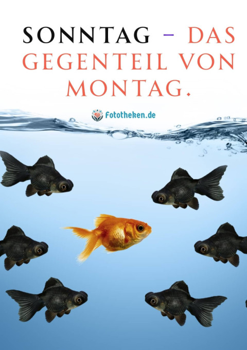 Sonntag – das Gegenteil von Montag