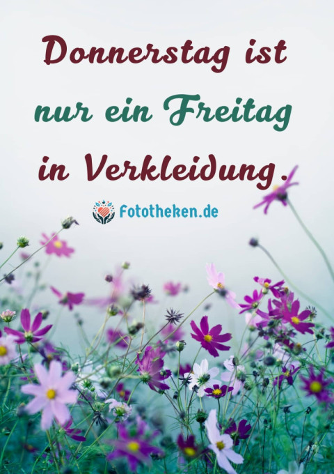 Donnerstag ist nur ein Freitag in Verkleidung