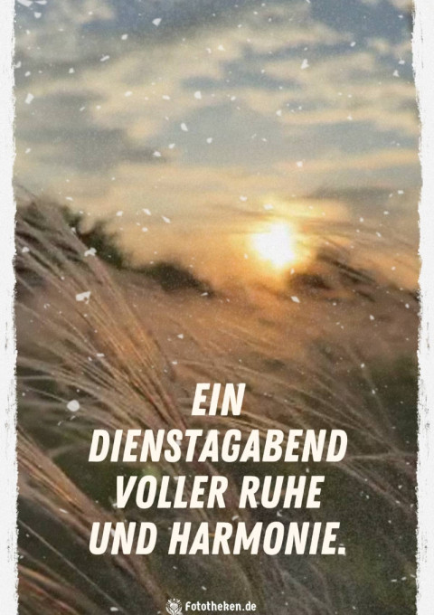 Ein Dienstagabend voller Ruhe und Harmonie