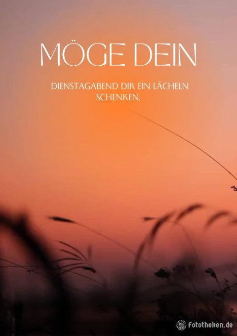 Möge dein Dienstagabend dir ein Lächeln schenken