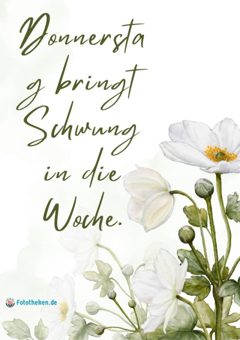 Donnerstag bringt Schwung in die Woche