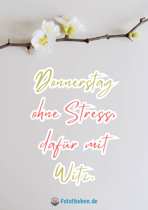 Donnerstag ohne Stress, dafür mit Witz