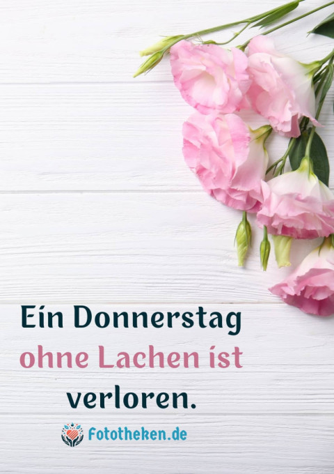 Donnerstag – Humor ist Pflicht